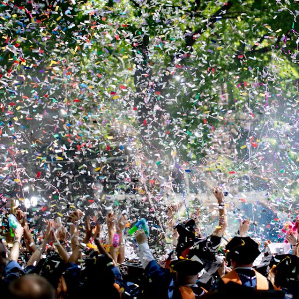 photo-1527269534026-c86f4009eace